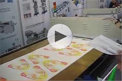 SPT flatbed screen printer for shoe printing
