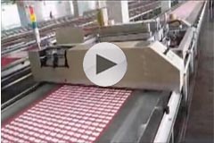 SPT platen printing machine (skip printing and Repeatedly printing)